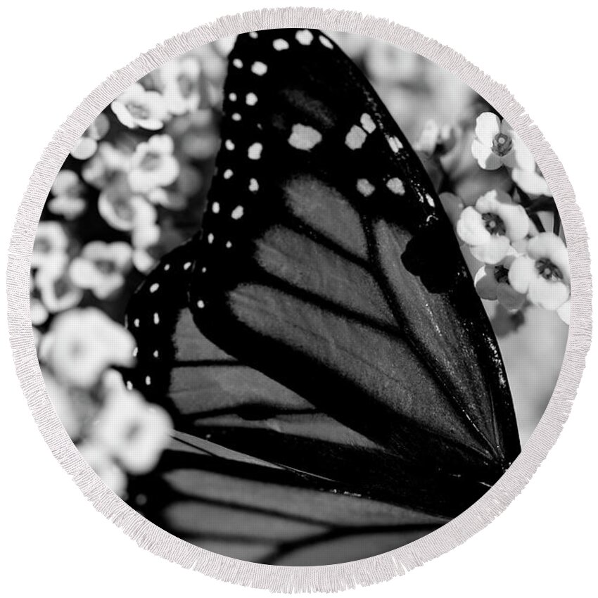 Butterfly Round Beach Towel featuring the photograph Monarch Moment #2 by John F Tsumas