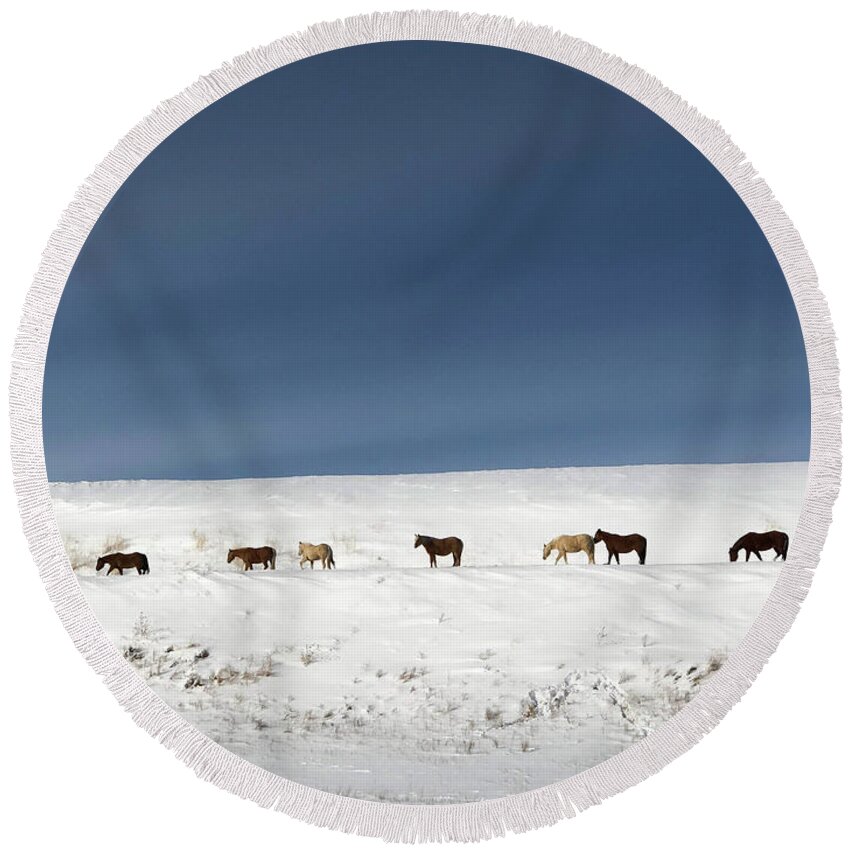Wild Horses Round Beach Towel featuring the photograph Montana wild horses crossing in winter by Tatiana Travelways