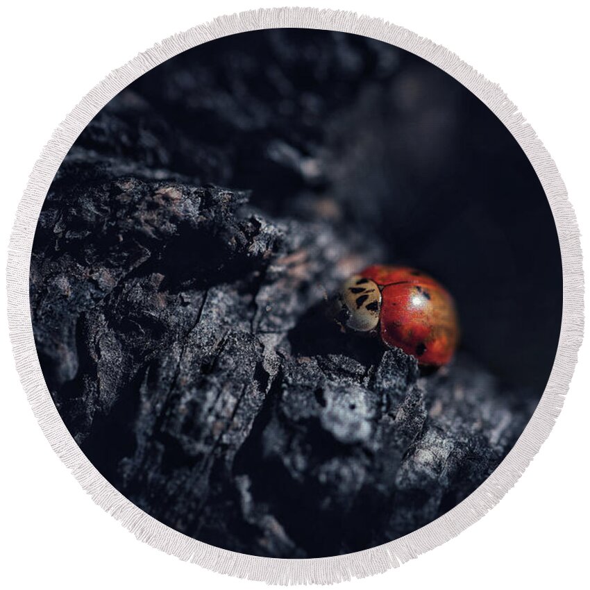 Mountain Round Beach Towel featuring the photograph Moody Lady Bug by Go and Flow Photos