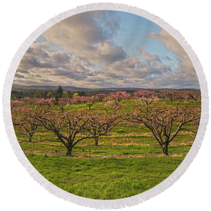 Orchards Round Beach Towel featuring the photograph Morning Glory Orchards by Angelo Marcialis