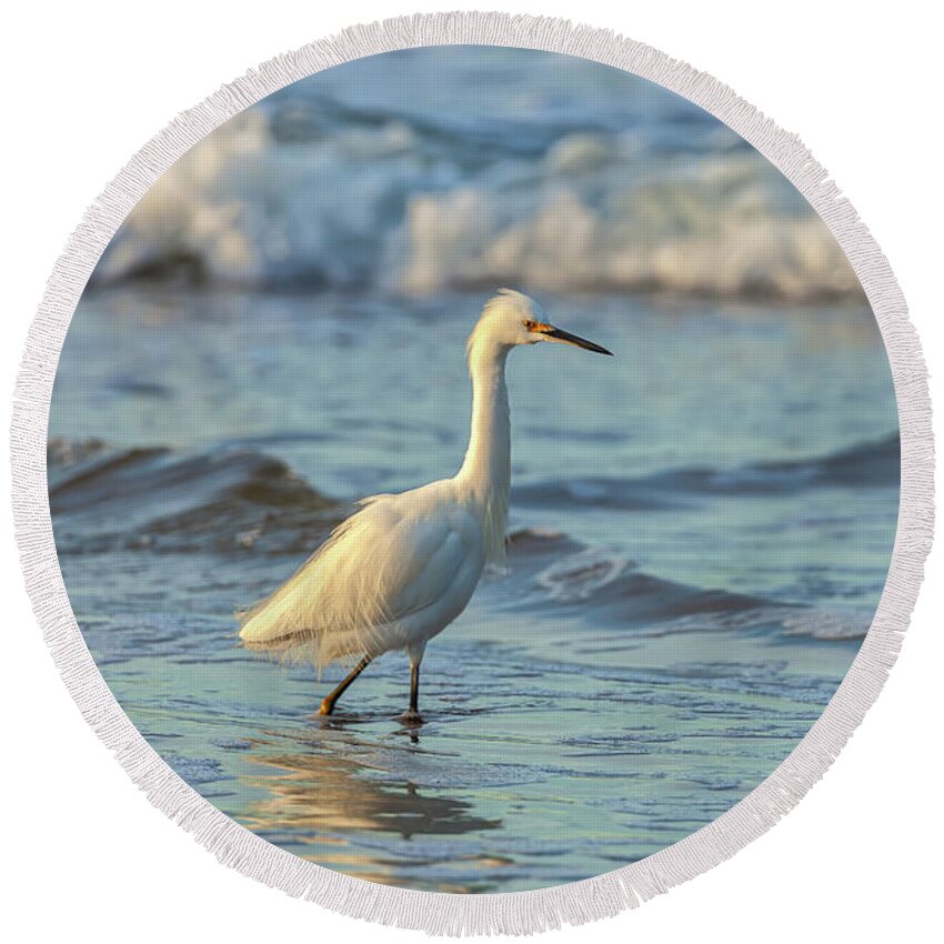 American Wildlife Round Beach Towel featuring the photograph Morning Hunt by Jonathan Nguyen