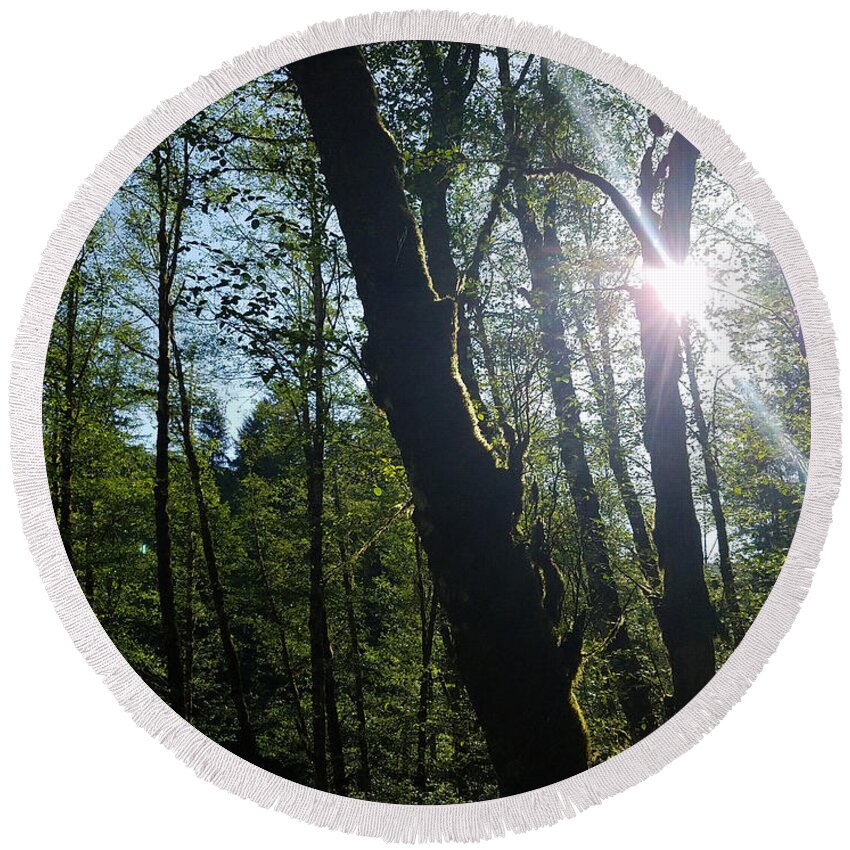 Morning Round Beach Towel featuring the photograph Morning in the forest by Brent Knippel