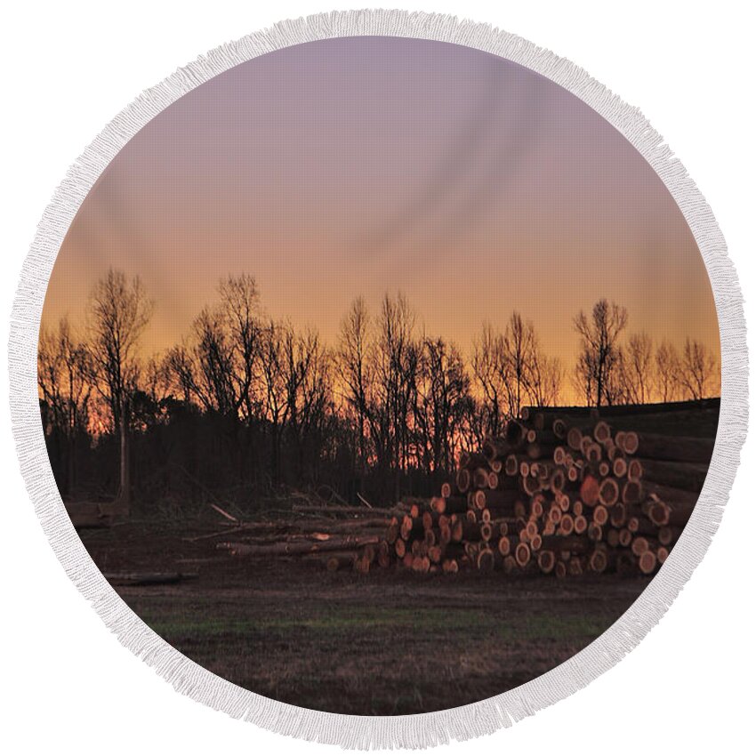 Logs Round Beach Towel featuring the photograph Morning in the Logwoods by Eric Towell