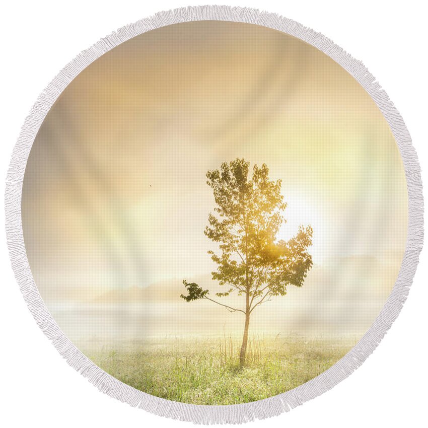Tree Round Beach Towel featuring the photograph Sunrise Tree In Mississippi Morning Fog by Jordan Hill