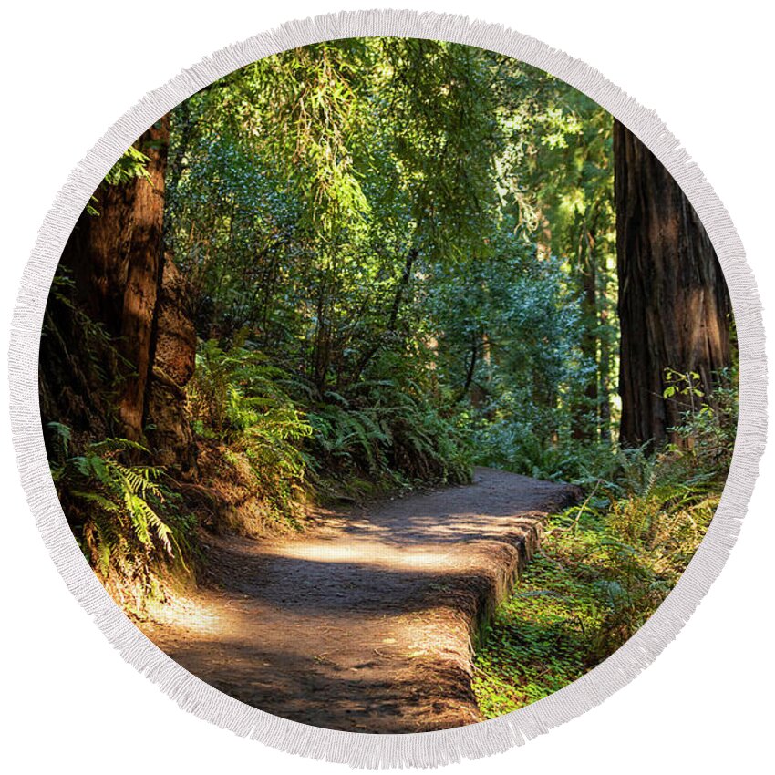 Path Round Beach Towel featuring the photograph Morning Light on a Muir Woods Path by Bonnie Follett