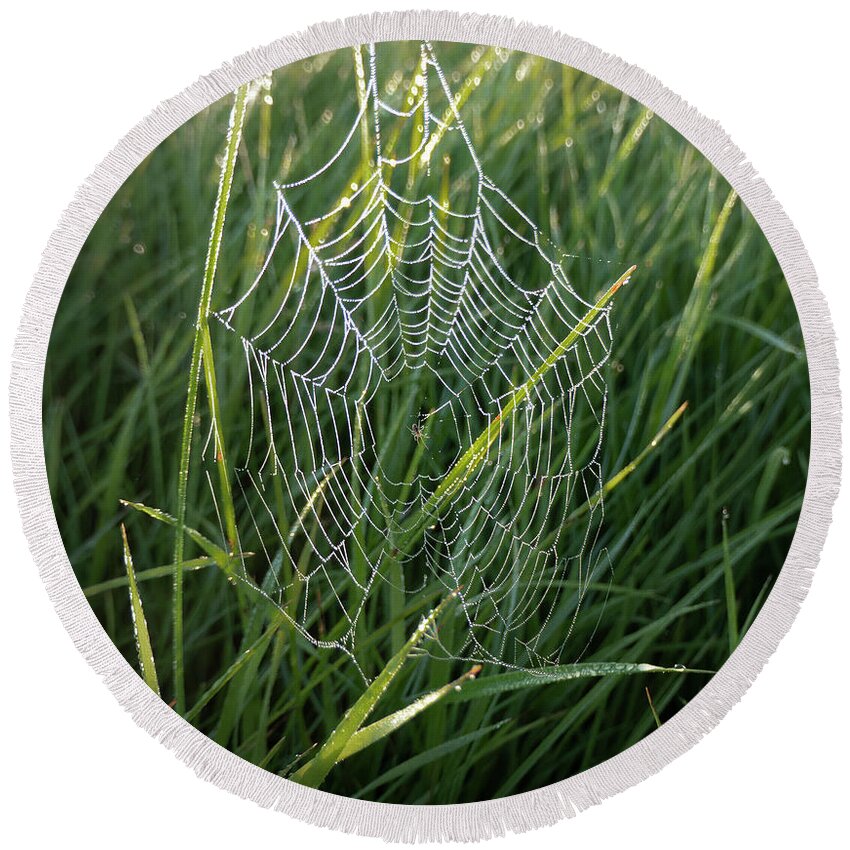 Spider Round Beach Towel featuring the photograph Morning Spider Web by Karen Rispin