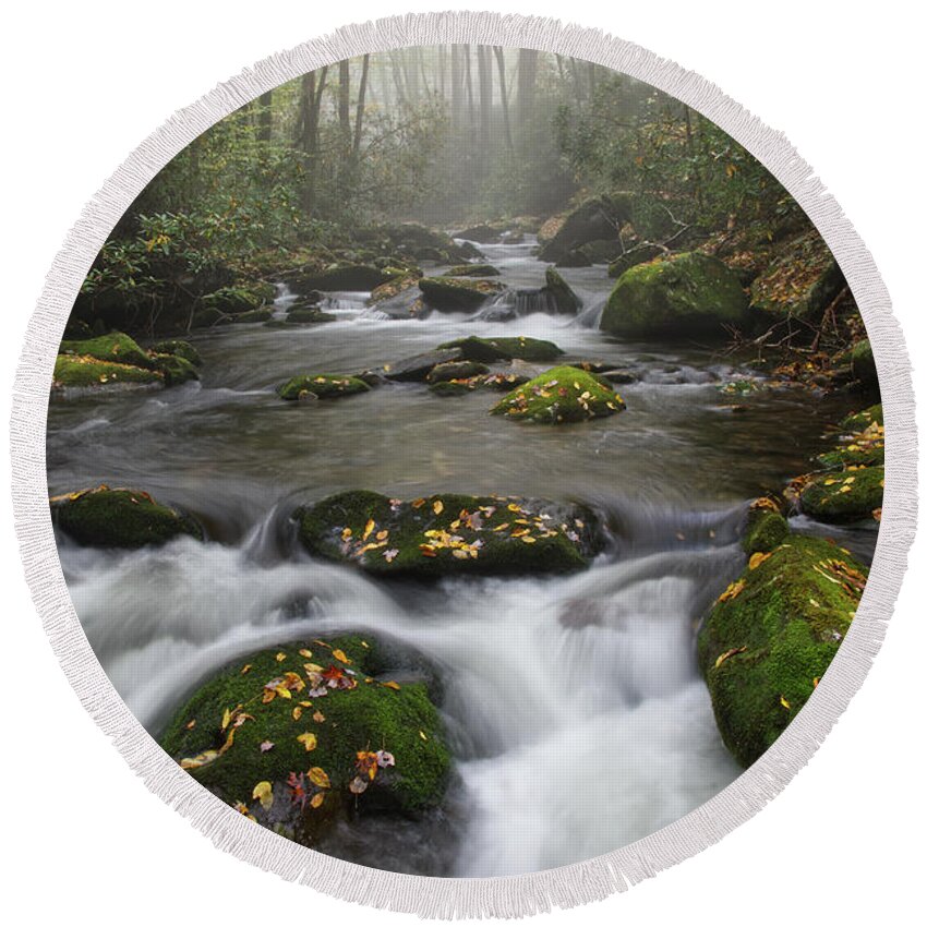 Middle Prong Trail Round Beach Towel featuring the photograph Moss On Middle Prong 4 by Phil Perkins