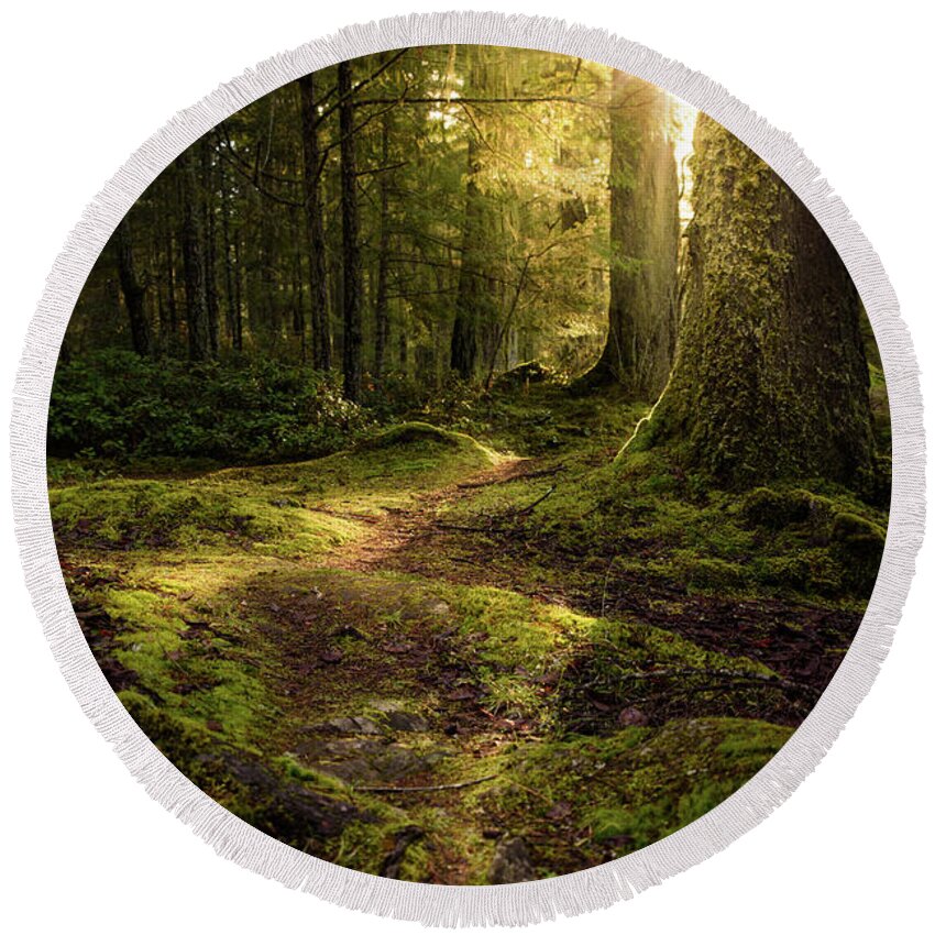 Landscape Round Beach Towel featuring the photograph Mossy Forest Path by Naomi Maya