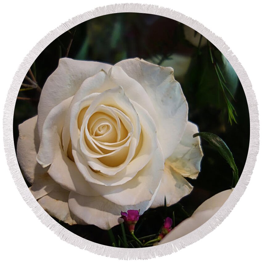 Flower Round Beach Towel featuring the photograph Mothers Day White Rose by Russel Considine