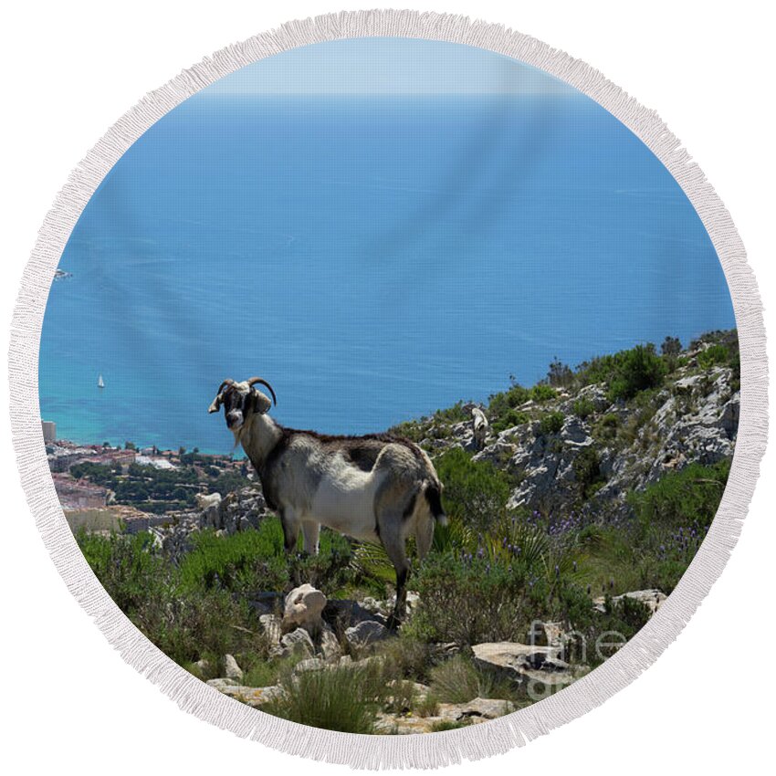 Mountains Round Beach Towel featuring the photograph Mountain goat, Mediterranean Sea and the coastal city of Calpe by Adriana Mueller