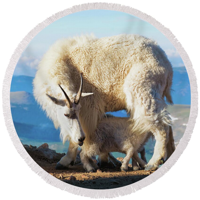 Mountain Goats Round Beach Towel featuring the photograph A Nanny Goat and Her Baby Mountain Goat by O Lena