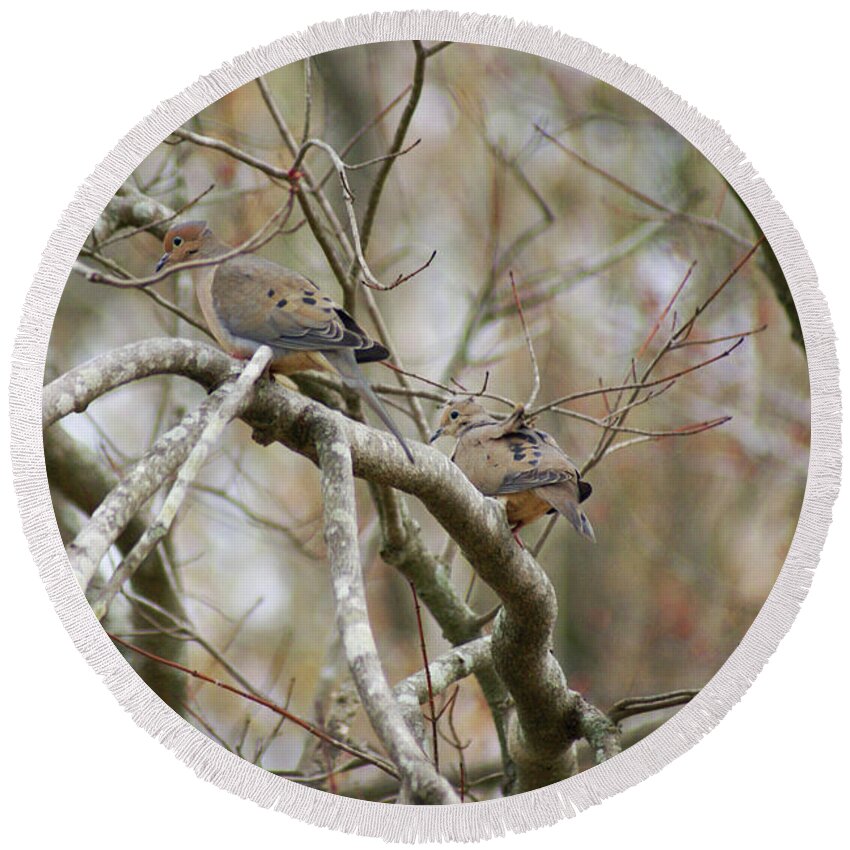  Round Beach Towel featuring the photograph Mourning Doves by Heather E Harman
