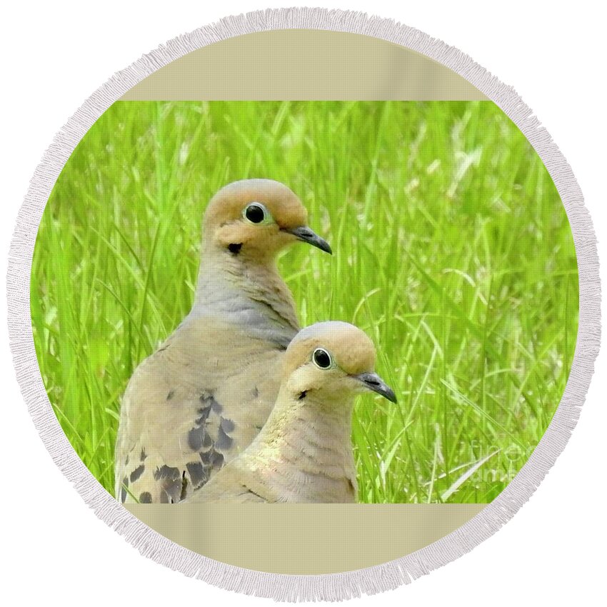 Mourning Doves. Cariboo Birds. Round Beach Towel featuring the photograph Mourning Doves by Nicola Finch