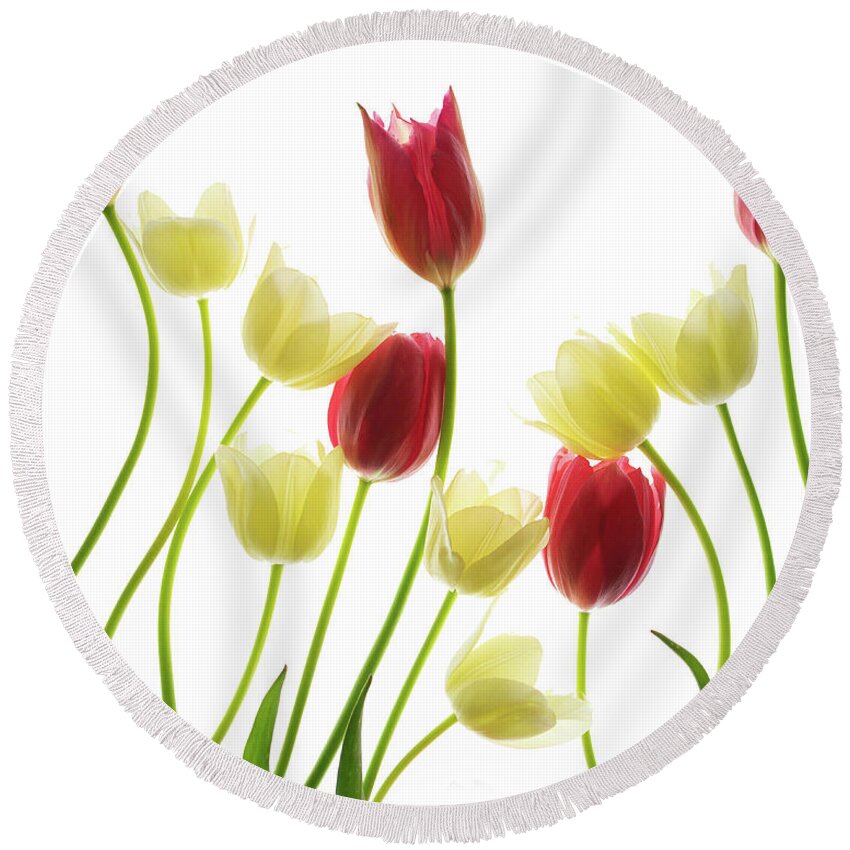 Flowers Round Beach Towel featuring the photograph Multi Colored Tulips by Rebecca Cozart