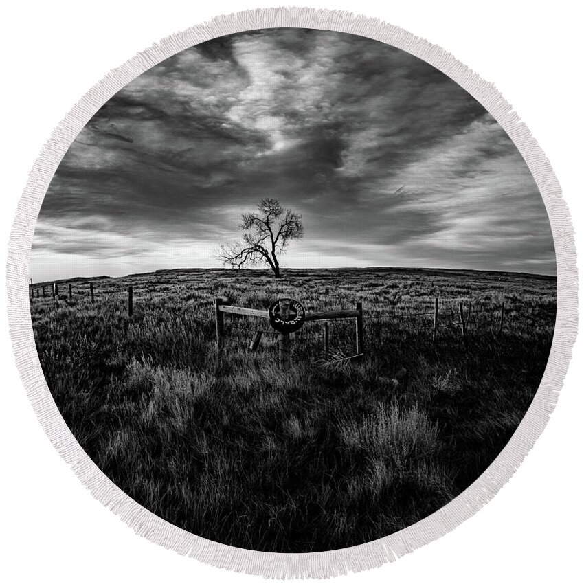  Round Beach Towel featuring the photograph Murray Tree Monochrome by Darcy Dietrich