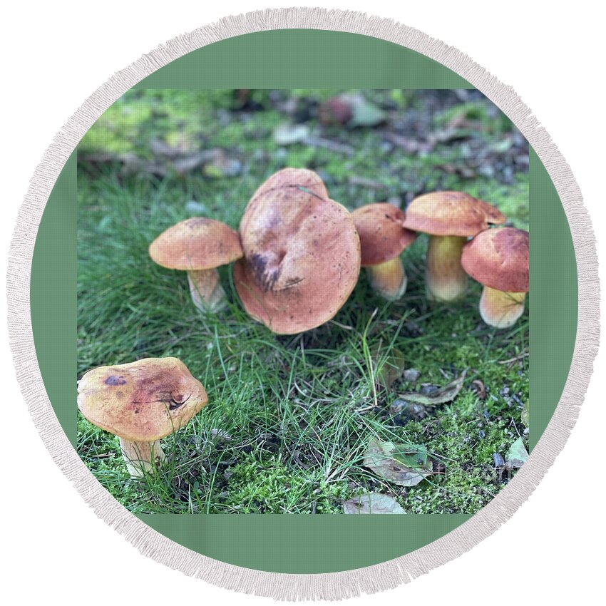 Mushrooms Round Beach Towel featuring the photograph Mushy by Deena Withycombe