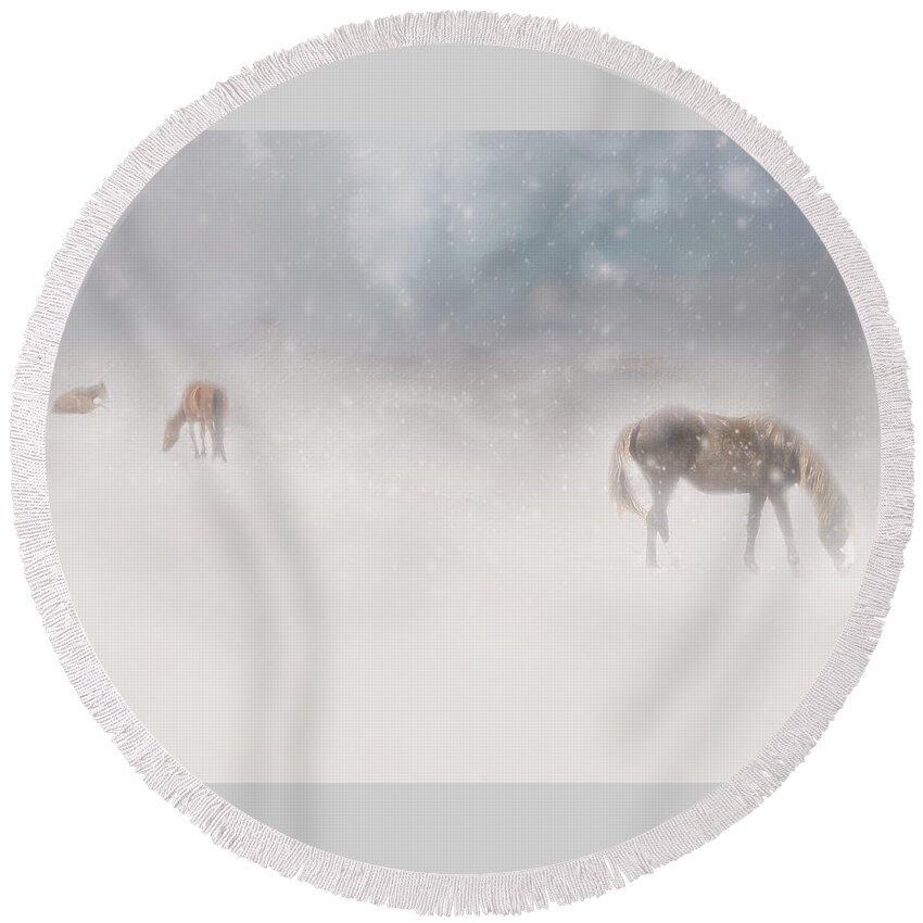 Horses Round Beach Towel featuring the photograph Mustangs Grazing in Snow by Marjorie Whitley