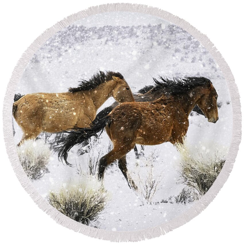 Mustang Wild Horse Galloping Art Prints Round Beach Towel featuring the photograph Mustangs In Winter by Jerry Cowart