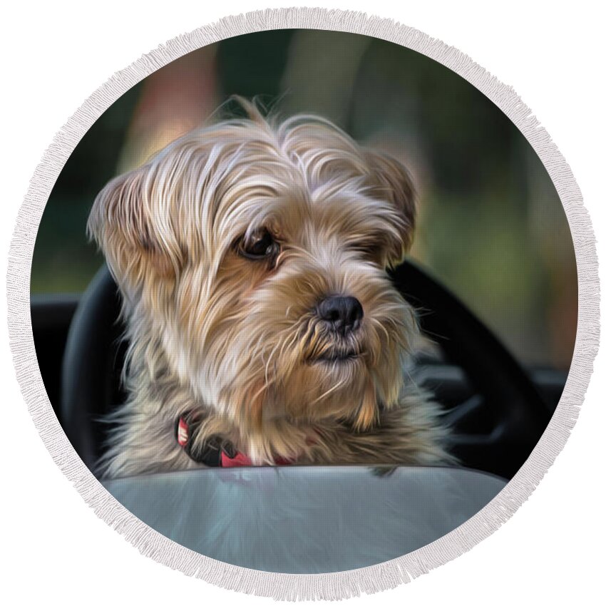 Dog Round Beach Towel featuring the photograph My Turn to Drive by Linda Villers