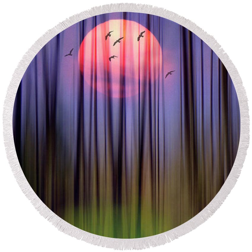 Nag006309 Round Beach Towel featuring the photograph Mystical Forest by Edmund Nagele FRPS