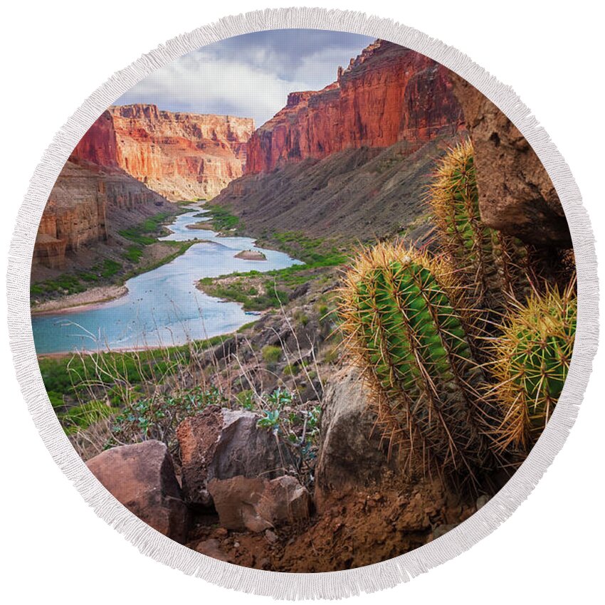 America Round Beach Towel featuring the photograph Nankoweap Cactus by Inge Johnsson