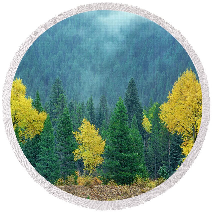 Dave Welling Round Beach Towel featuring the photograph Narrowleaf Cottonwoods And Blur Spruce Trees In Grand Tetons by Dave Welling
