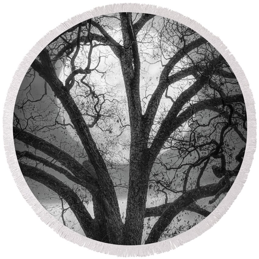 Carolina Round Beach Towel featuring the photograph Nature in Stained Glass in Black and White by Debra and Dave Vanderlaan