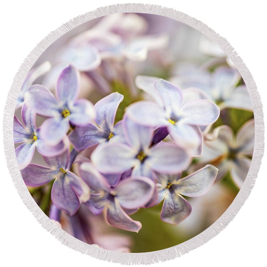 Pink Flowers Round Beach Towel featuring the photograph Nature Photography - Lilacs by Amelia Pearn