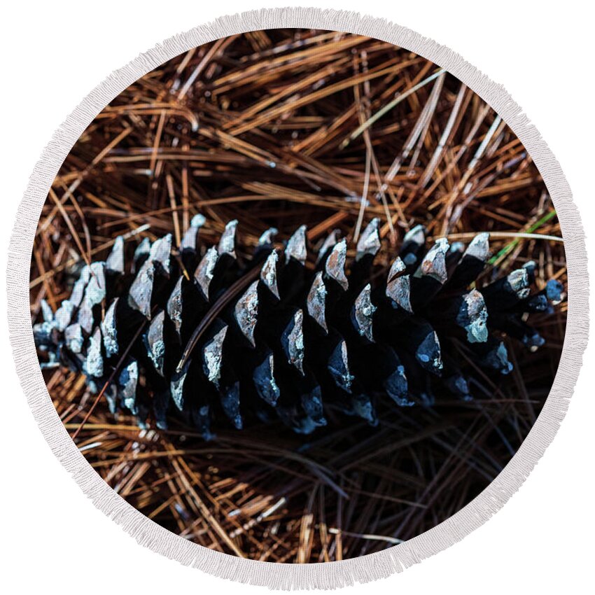 Nature Round Beach Towel featuring the photograph Nature Photography - Pine Cone 2 by Amelia Pearn
