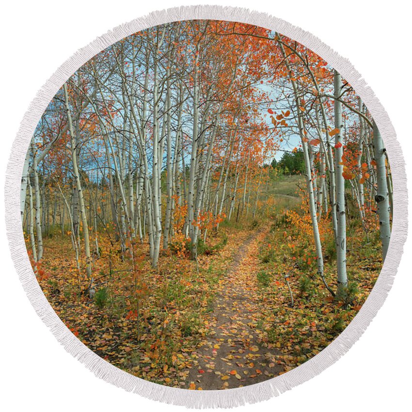 September Round Beach Towel featuring the photograph Nature Trail by James BO Insogna