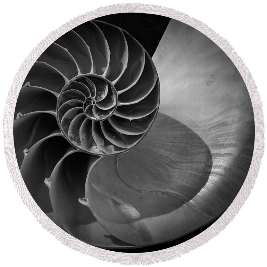 Black And White Round Beach Towel featuring the photograph Nautilus Shell V BW by David Gordon