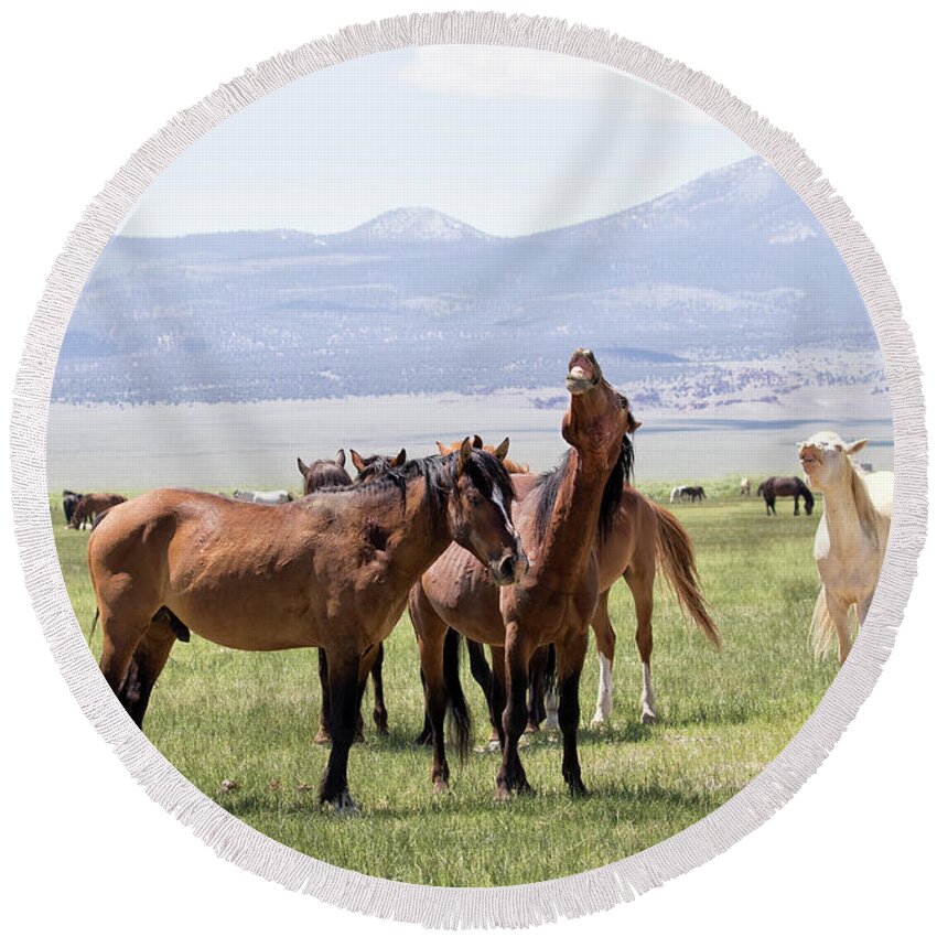Eastern Sierra Round Beach Towel featuring the photograph Neigh-Fest by Cheryl Strahl