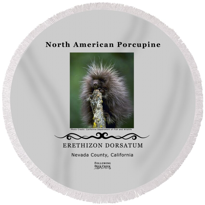Porcupine Round Beach Towel featuring the digital art North American Porcupine by Lisa Redfern