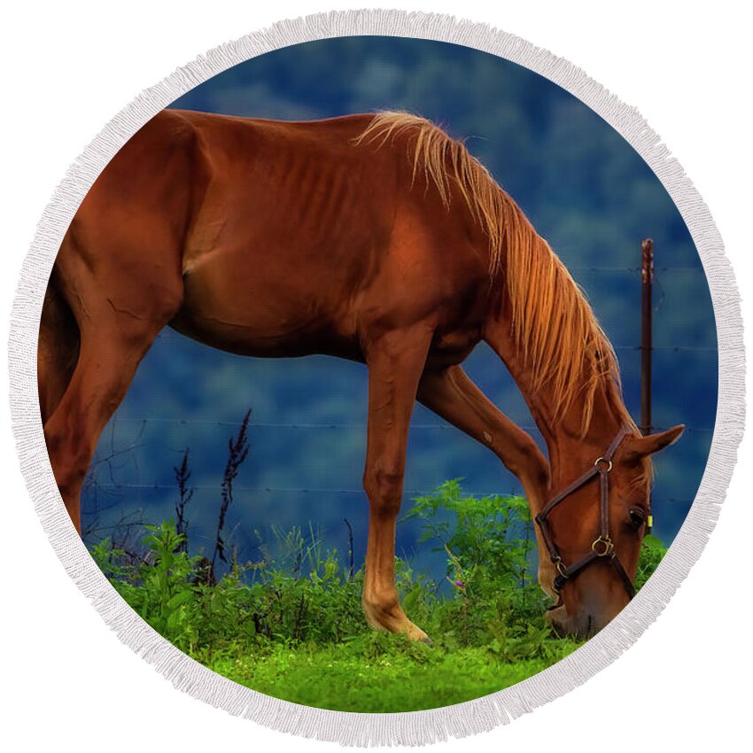 Horse Round Beach Towel featuring the photograph Northeast Tennessee Farm Country by Shelia Hunt