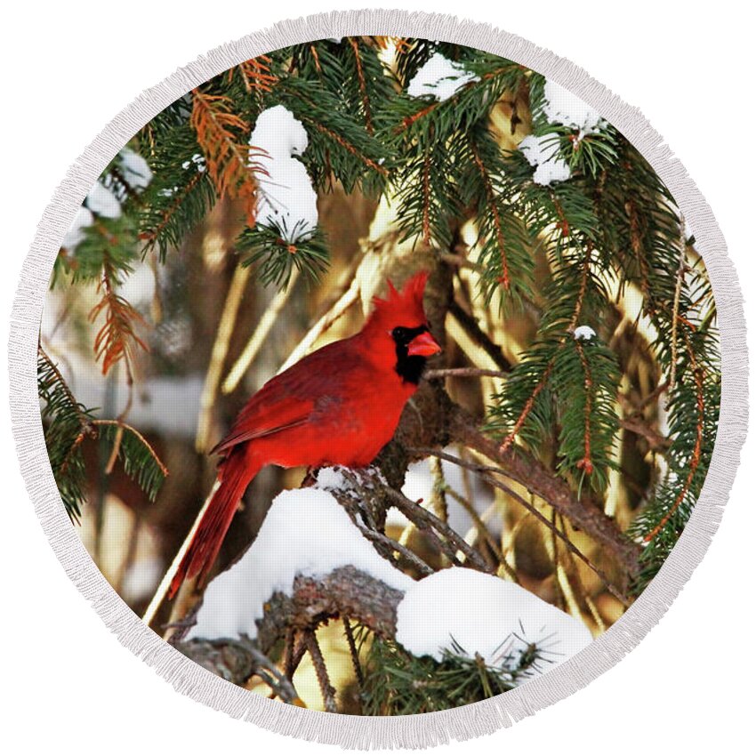 Northern Red Cardinal Round Beach Towel featuring the photograph Northern Cardinal In Winter by Debbie Oppermann