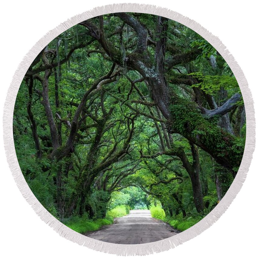 Landscape Round Beach Towel featuring the photograph Oak Tunnel by Chris Berrier