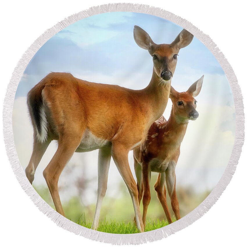 Deer Round Beach Towel featuring the photograph Oh, Deer, Let's Pose... by Shelia Hunt