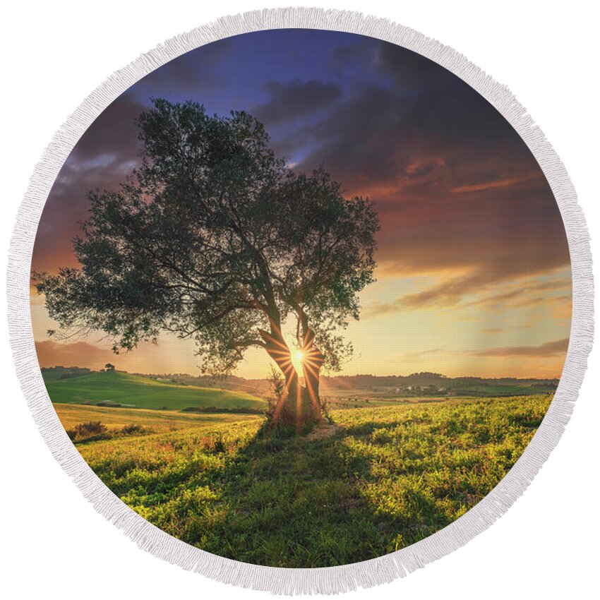 Olive Round Beach Towel featuring the photograph Olive tree at sunset. Tuscany by Stefano Orazzini