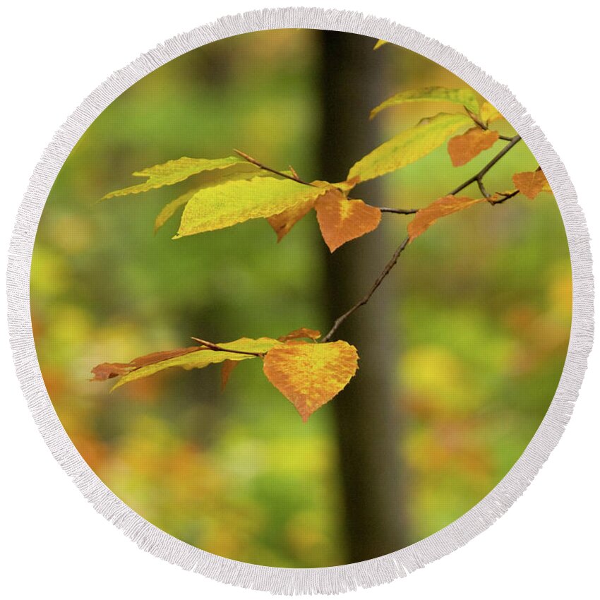On An Overcast Day In Autumn 5 Round Beach Towel featuring the photograph On An Overcast Day In Autumn 5 by Dorothy Lee