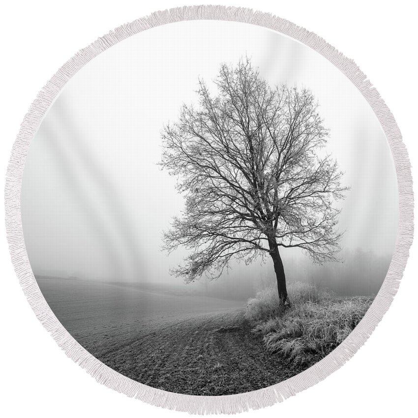 Tree Round Beach Towel featuring the photograph On the frontier by Davorin Mance