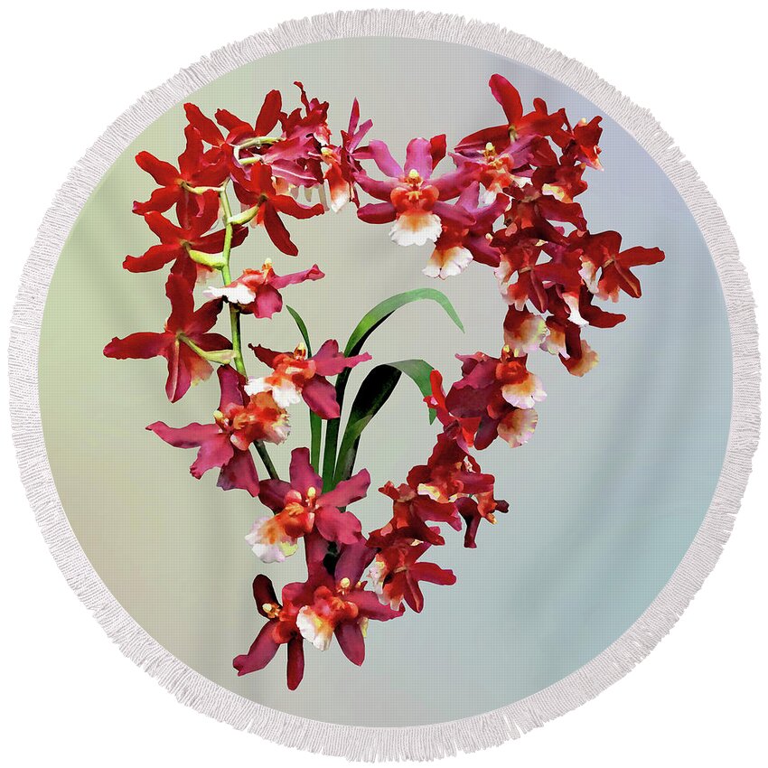 Orchid Round Beach Towel featuring the photograph Orchid - Oncostele Hilo Firecracker 'New Year' by Susan Savad
