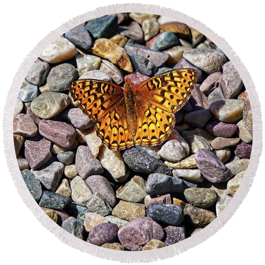 Butterflies Round Beach Towel featuring the photograph Orange And Black Butterfly by David Desautel