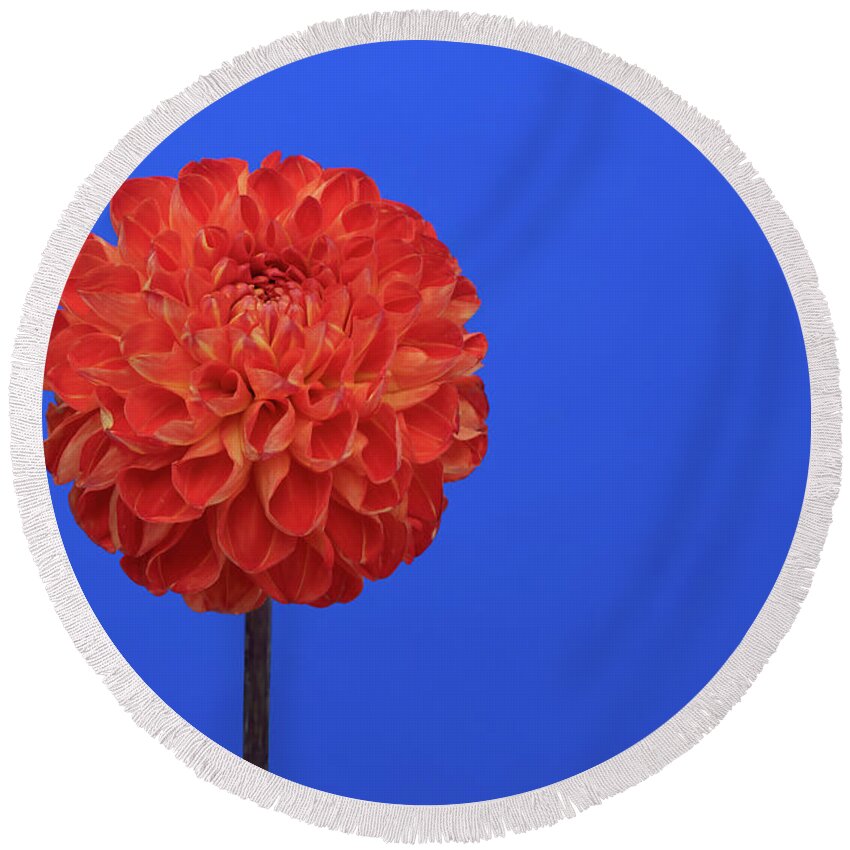 Orange Round Beach Towel featuring the photograph Orange and Blue by Connie Carr