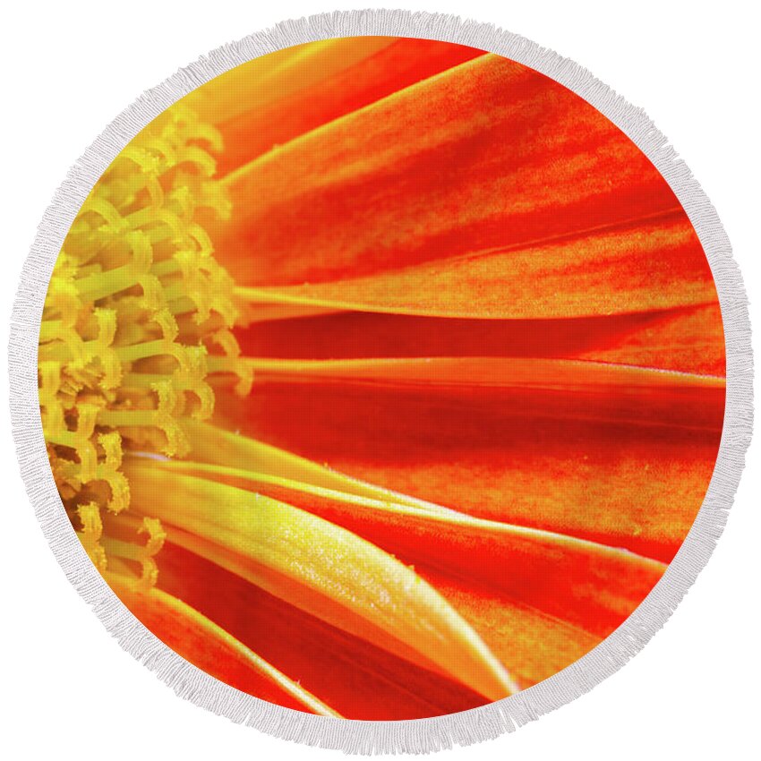 Autumn Round Beach Towel featuring the photograph Orange flower by Viktor Wallon-Hars