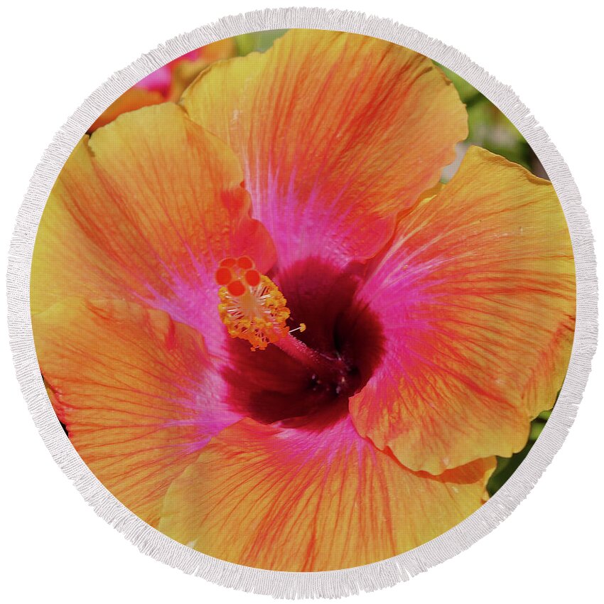 Flowers Round Beach Towel featuring the pyrography Orange Hibiscus by Tony Spencer
