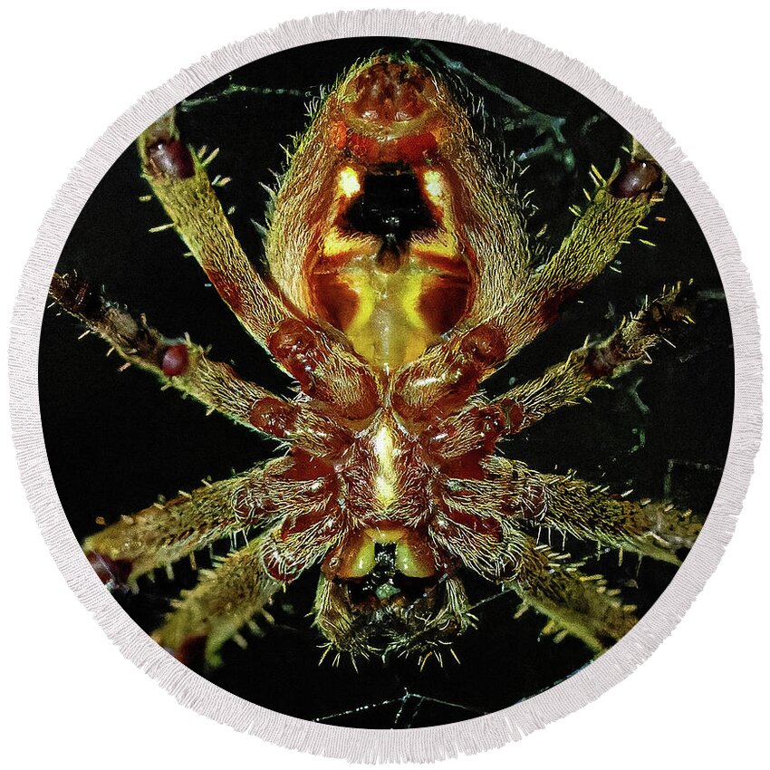 Spider Round Beach Towel featuring the photograph Orb Weaver Spider by William Jobes