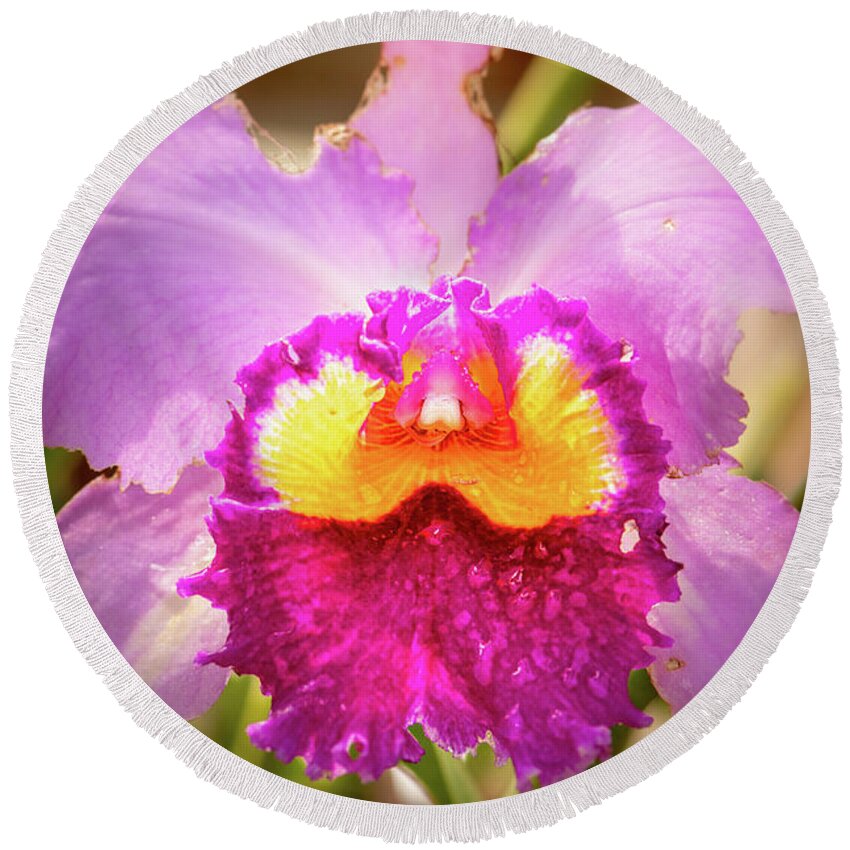 Detail Round Beach Towel featuring the photograph Orchid Yellow by Joann Long