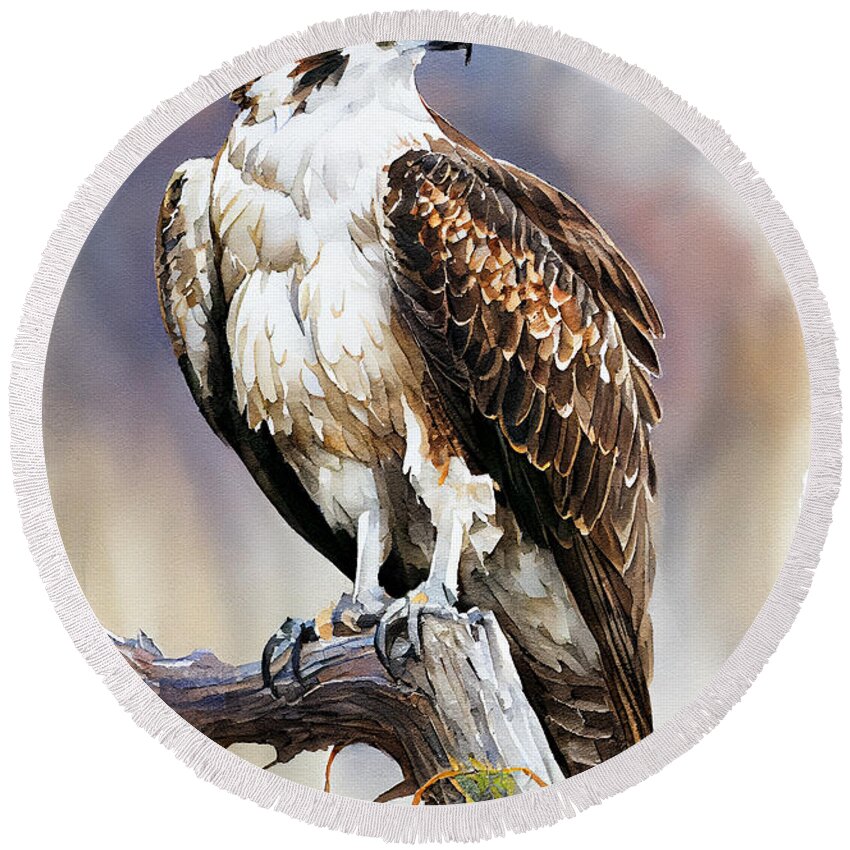 Osprey Watercolor By Ken Rasmussen Fade Into Wh Art Round Beach Towel featuring the digital art osprey watercolor by Ken Rasmussen Fade into wh aed afdf d bd cb by Asar Studios by Celestial Images