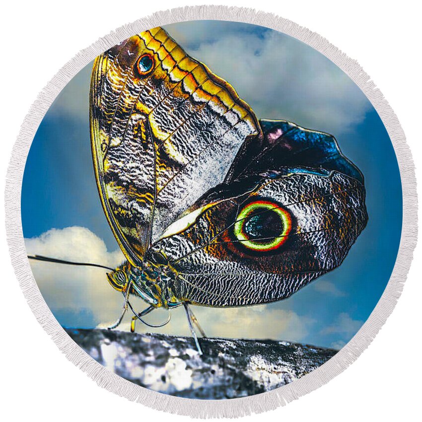 Insect Round Beach Towel featuring the digital art Owl Butterfly #1 by Steven Parker