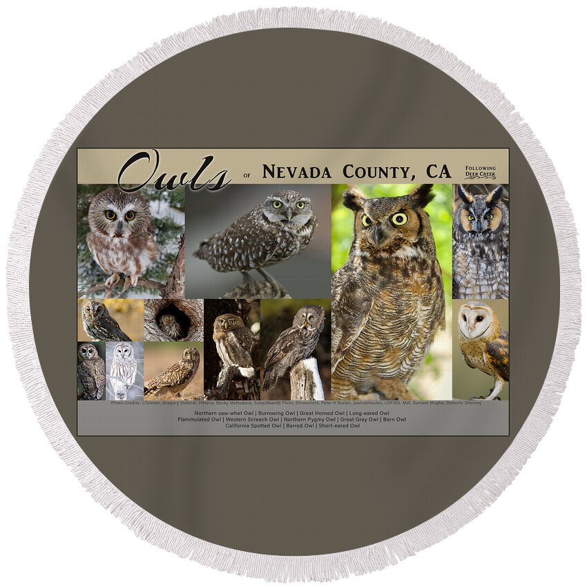 Owl Round Beach Towel featuring the digital art Owls of Nevada County California by Lisa Redfern